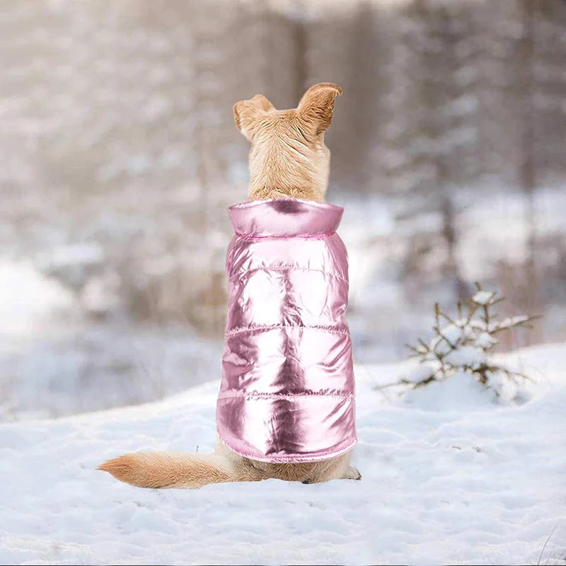 Cozy Dog Winter Coat Vest