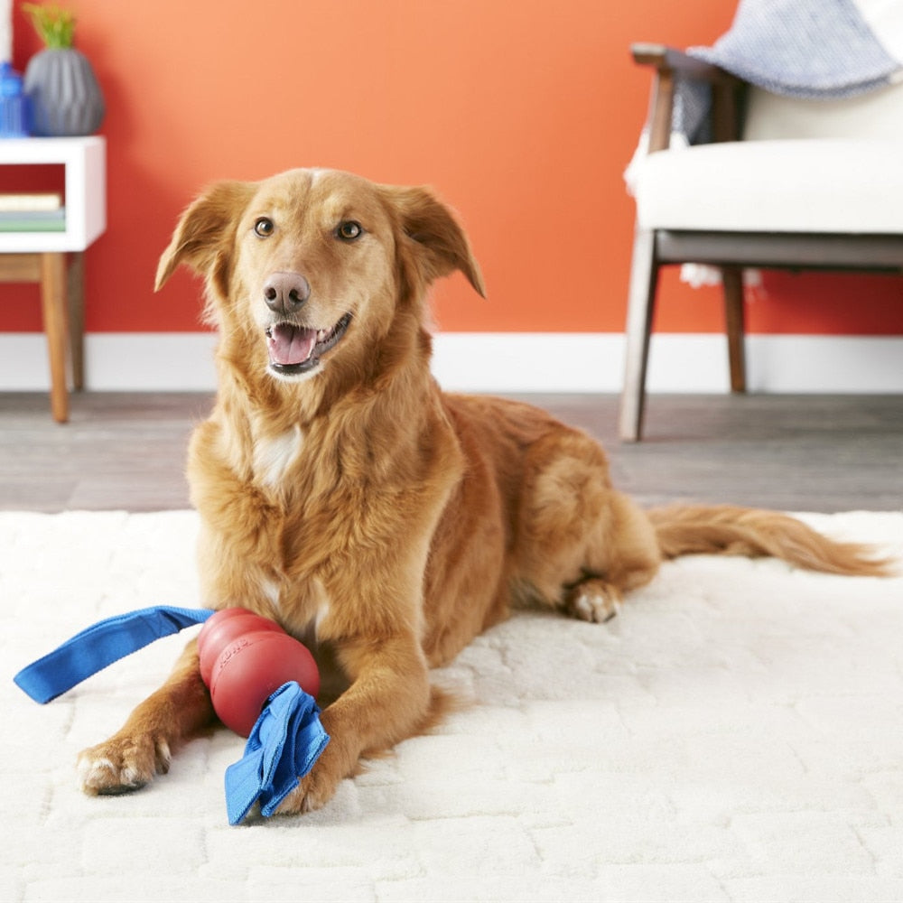 Classic Tails Dog Toy
