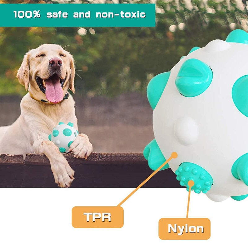 Bite Resistant Dog IQ Treat Toy Ball