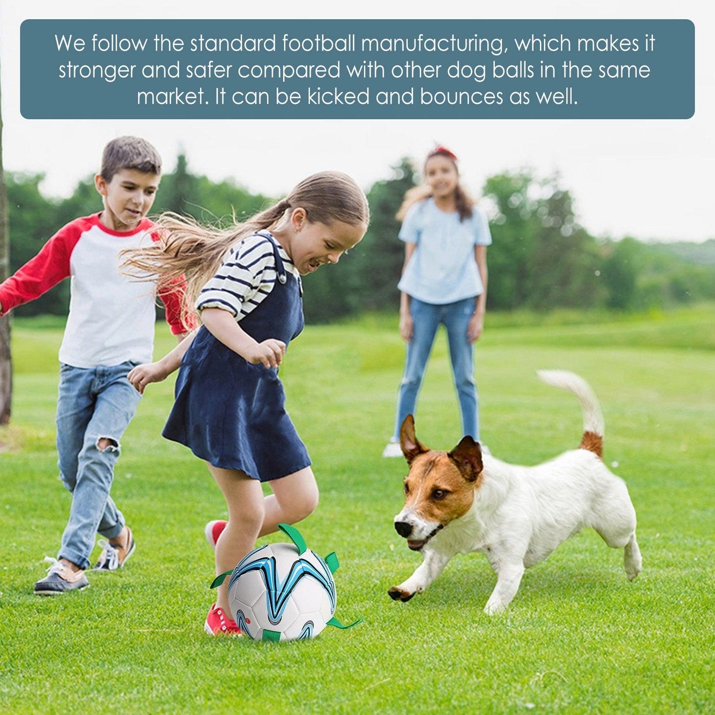 Interactive Outdoor Dog Toy Soccer Ball
