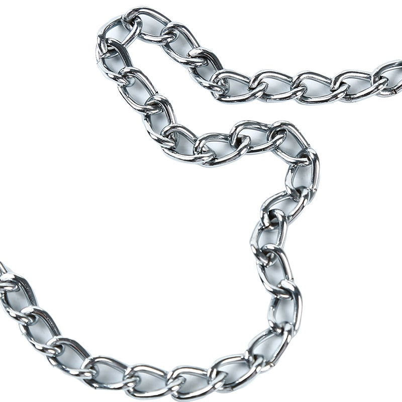 Bite Proof Heavy Duty Chain Dog Leash