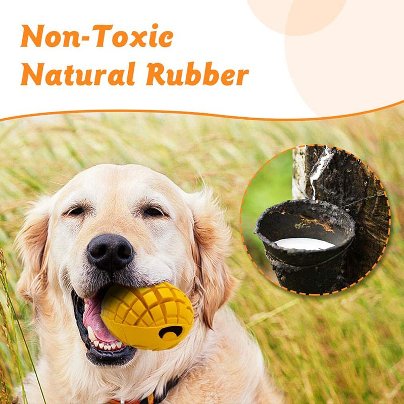 Indestructible Mango Dog Food Dispenser Toy