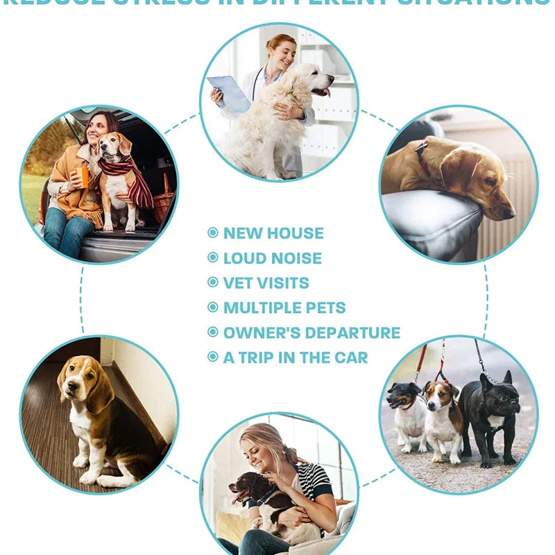 Effective Calming Collar For Dogs