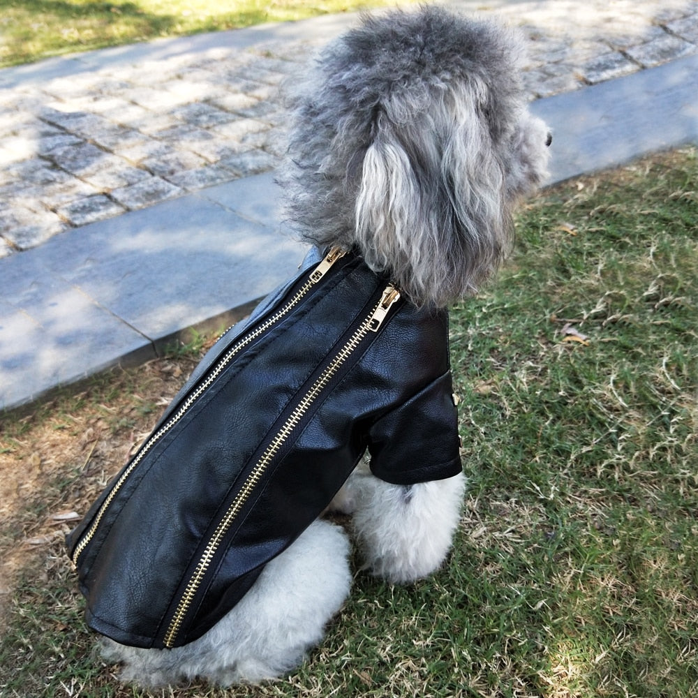 Cool Leather Dog Warm Jacket
