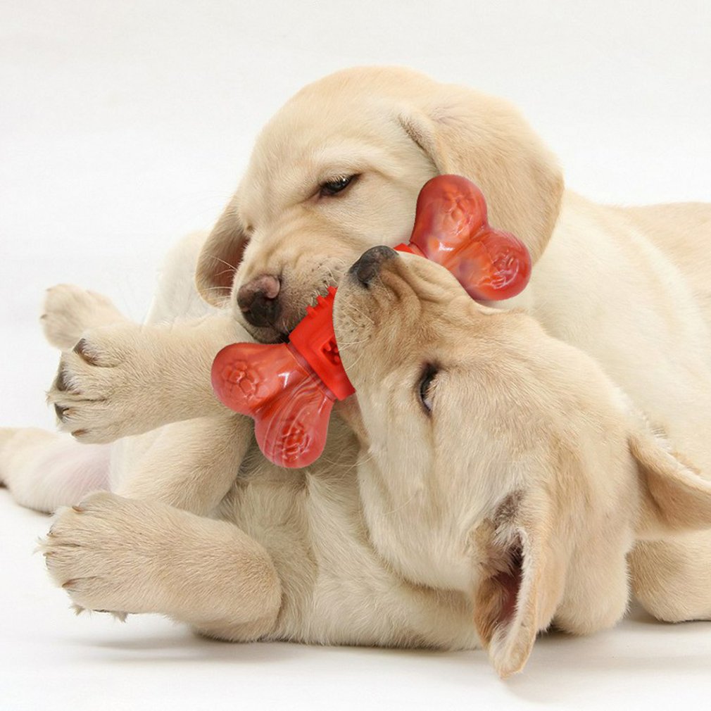 Indestructible Dog Bone Chewy Toys