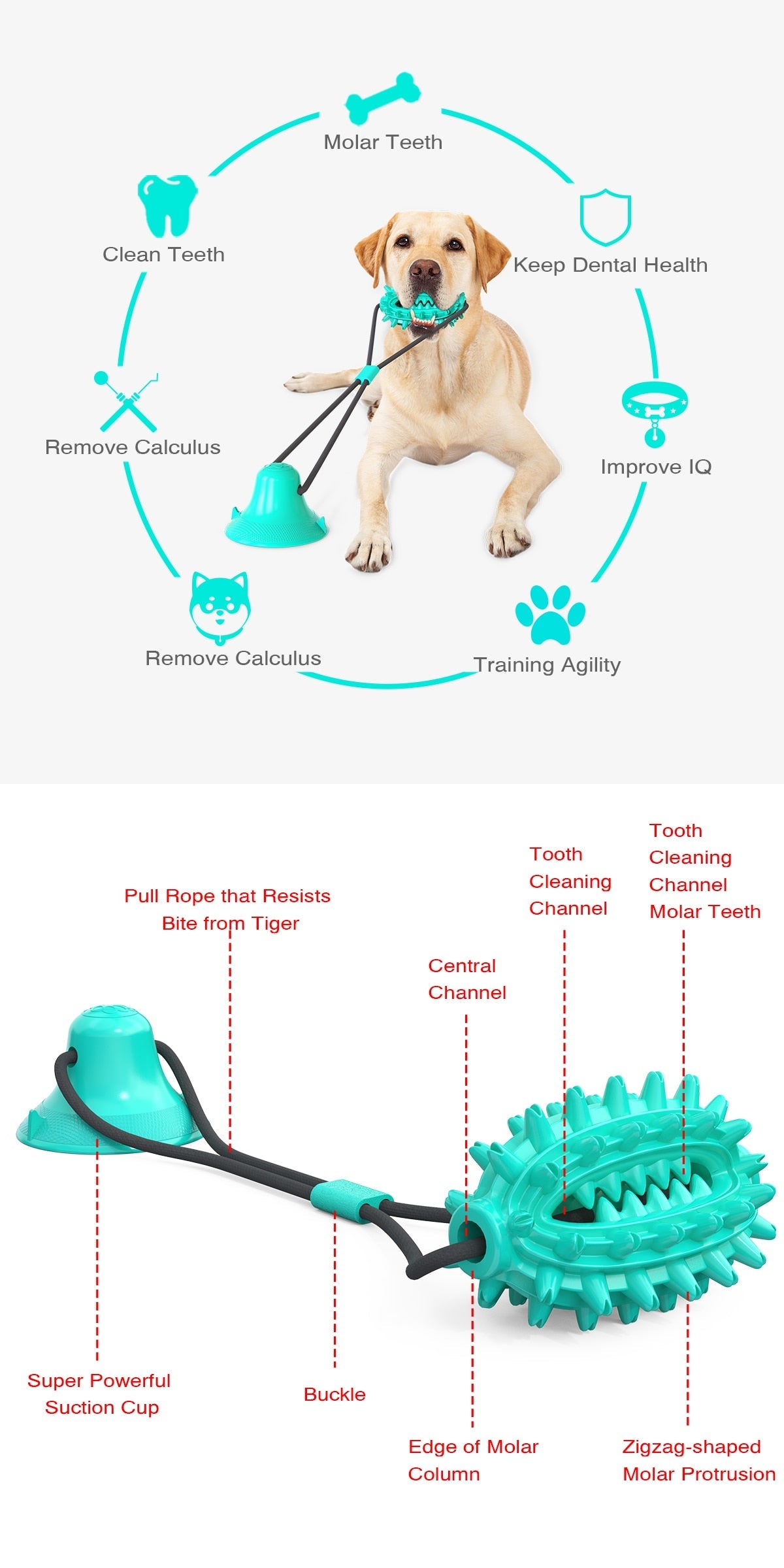 Interactive Elastic Ropes Chewy Dog Toy