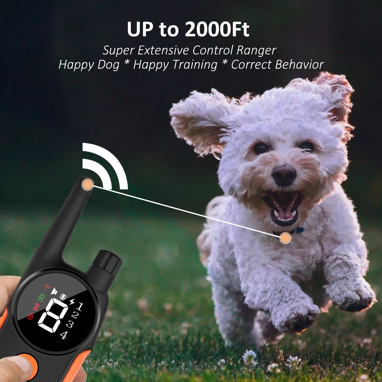 LCD Display Dog Training Collar