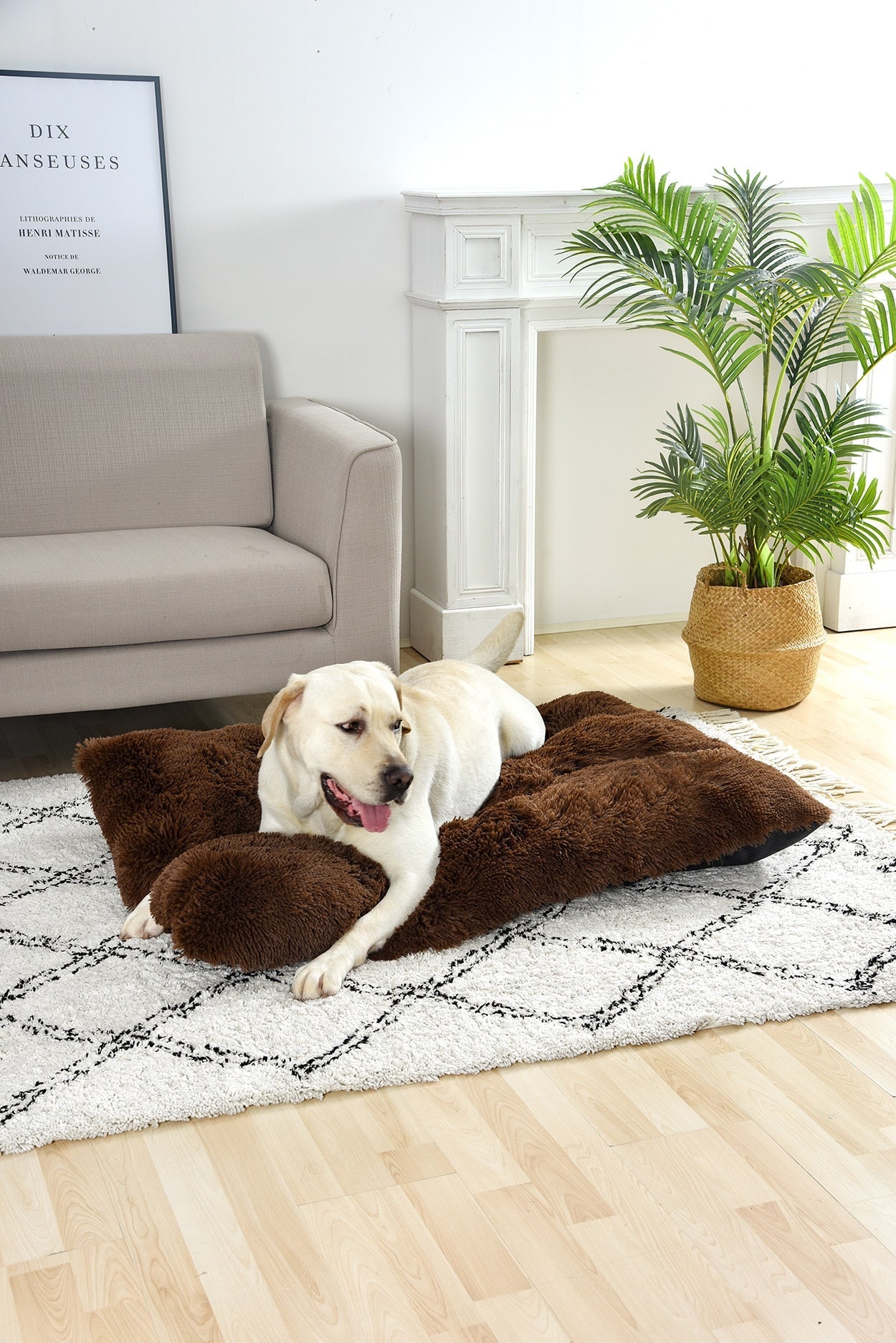 Luxury Plush Soft Fur Dog Bed