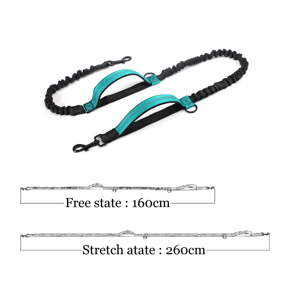 Hands Free Dog Leash Dual Padded Handle