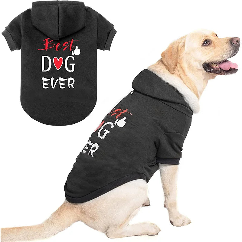 Stylish Fashion Print Dog Hoodie