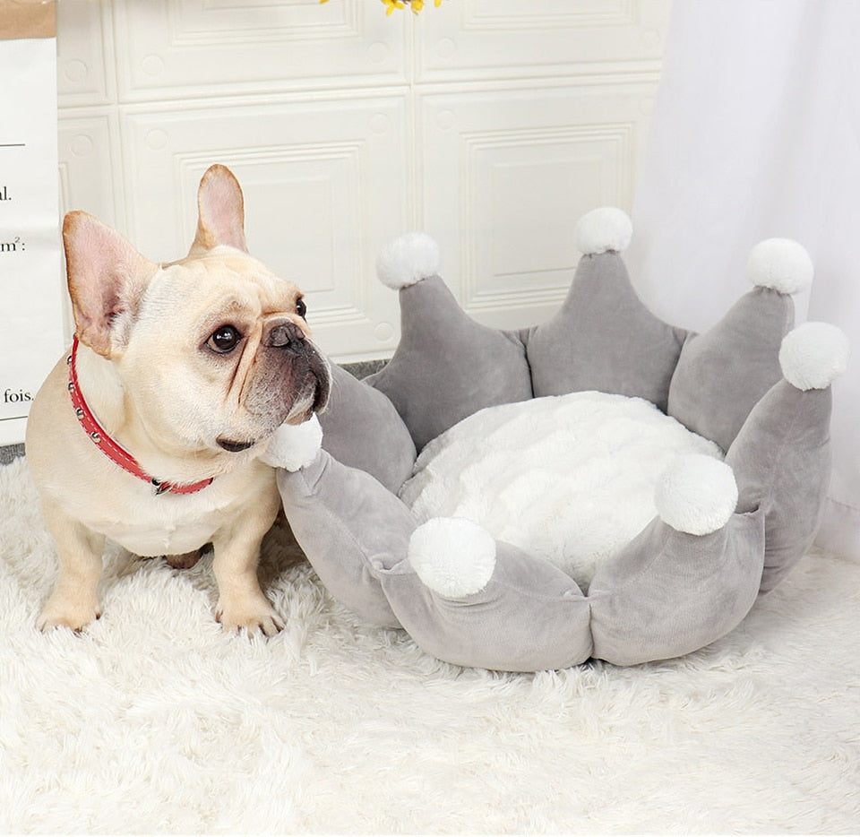 Fashion Crown Soft Dog Bed