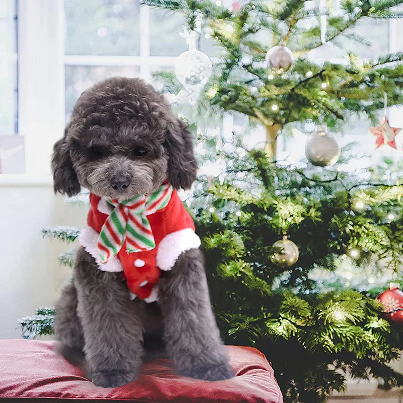 Antlers Scarf Christmas Dog Clothes