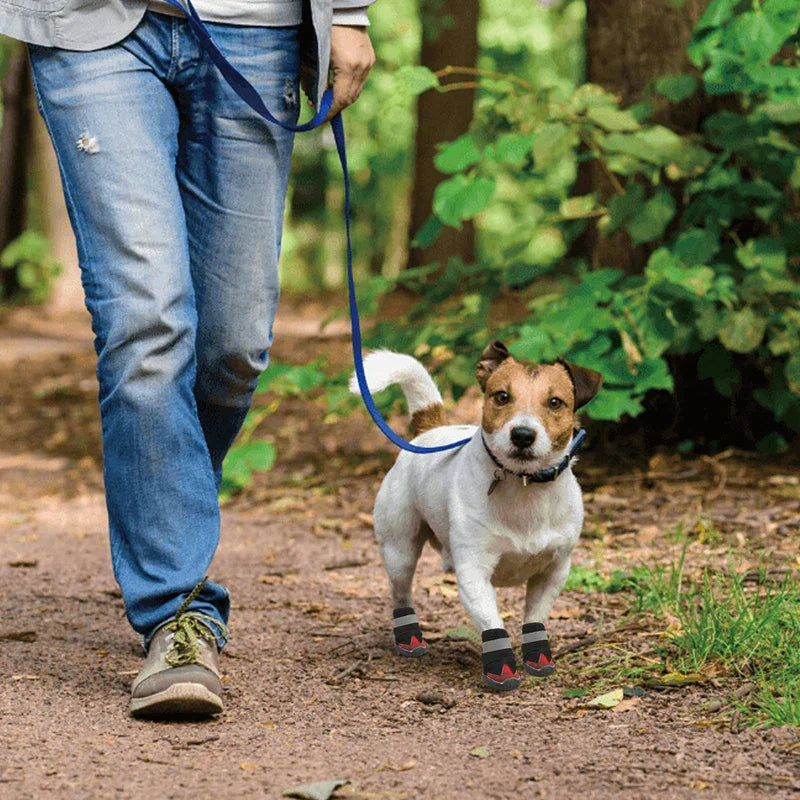 Honeycomb Mesh Dog Shoes