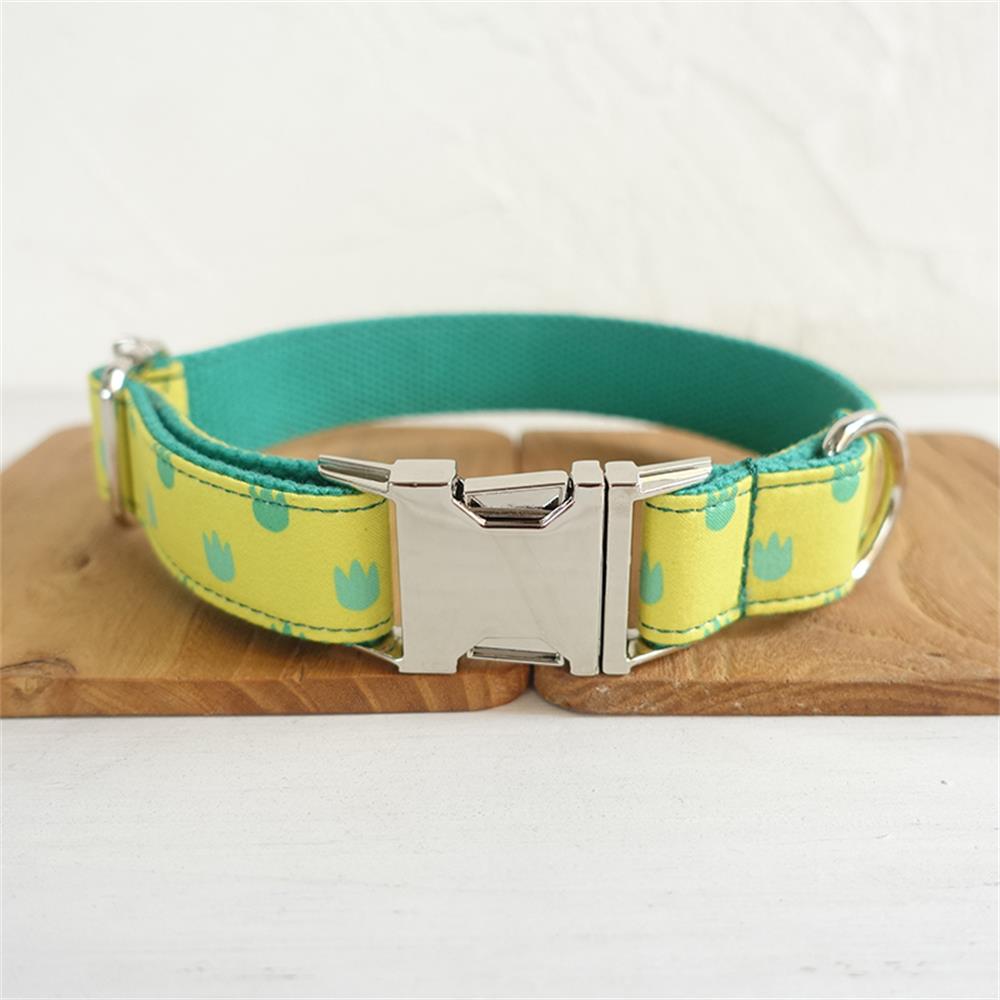 DRAGON PAWS Engraved Pet Collar