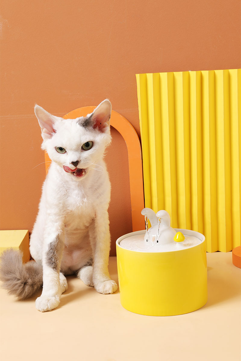 Creative Ceramic Pet Water Fountain