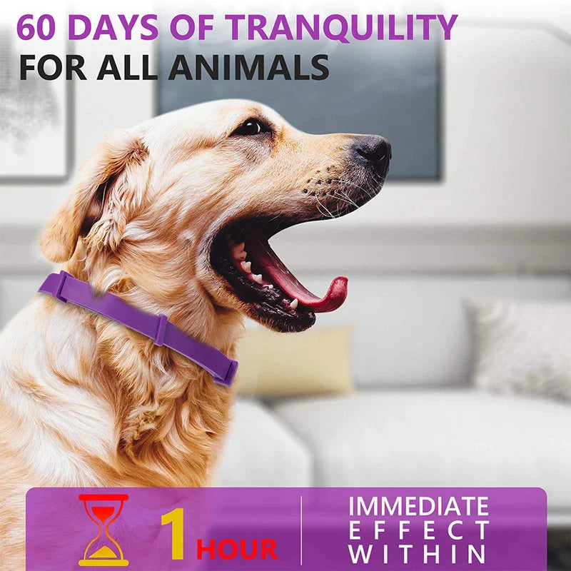 Lasting Natural Calming Dog Collar
