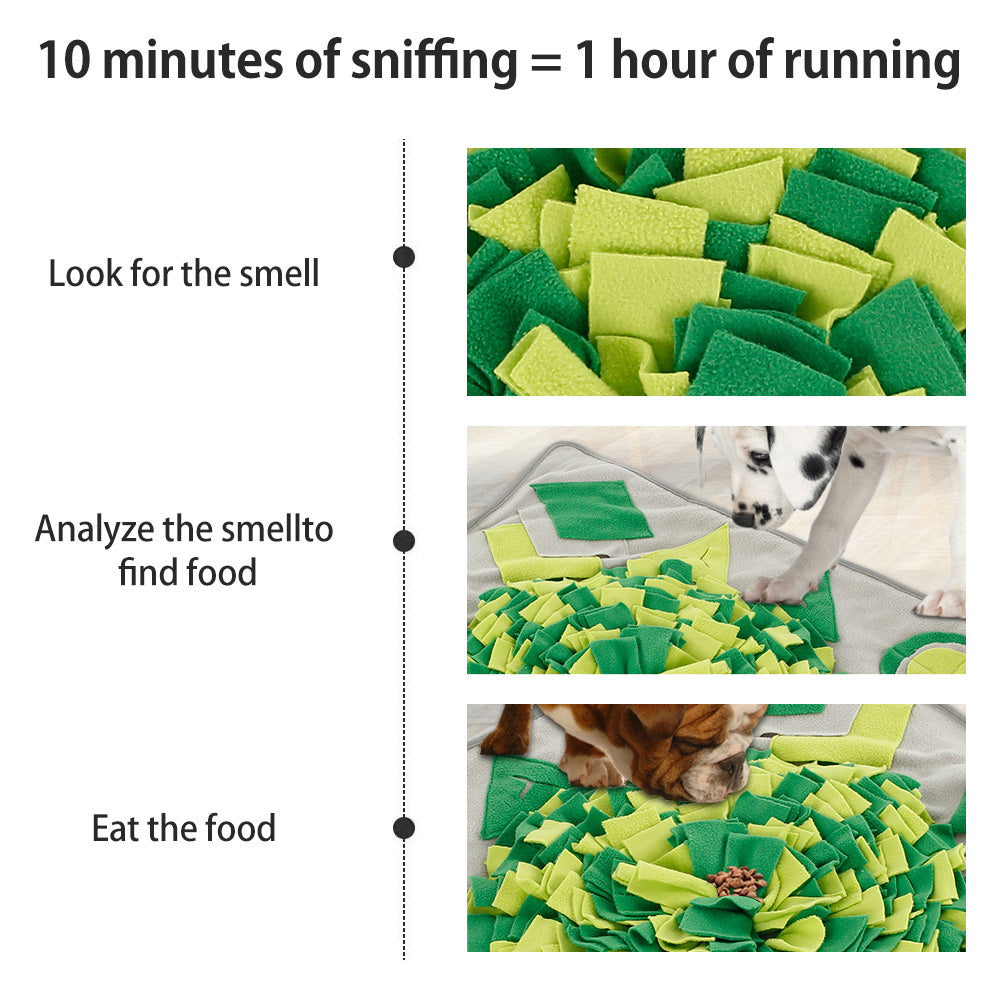 Dogs Fun Puzzle Snuffle Mats