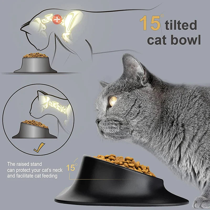 15 Degree Tilt Raised Dog FoodBowl