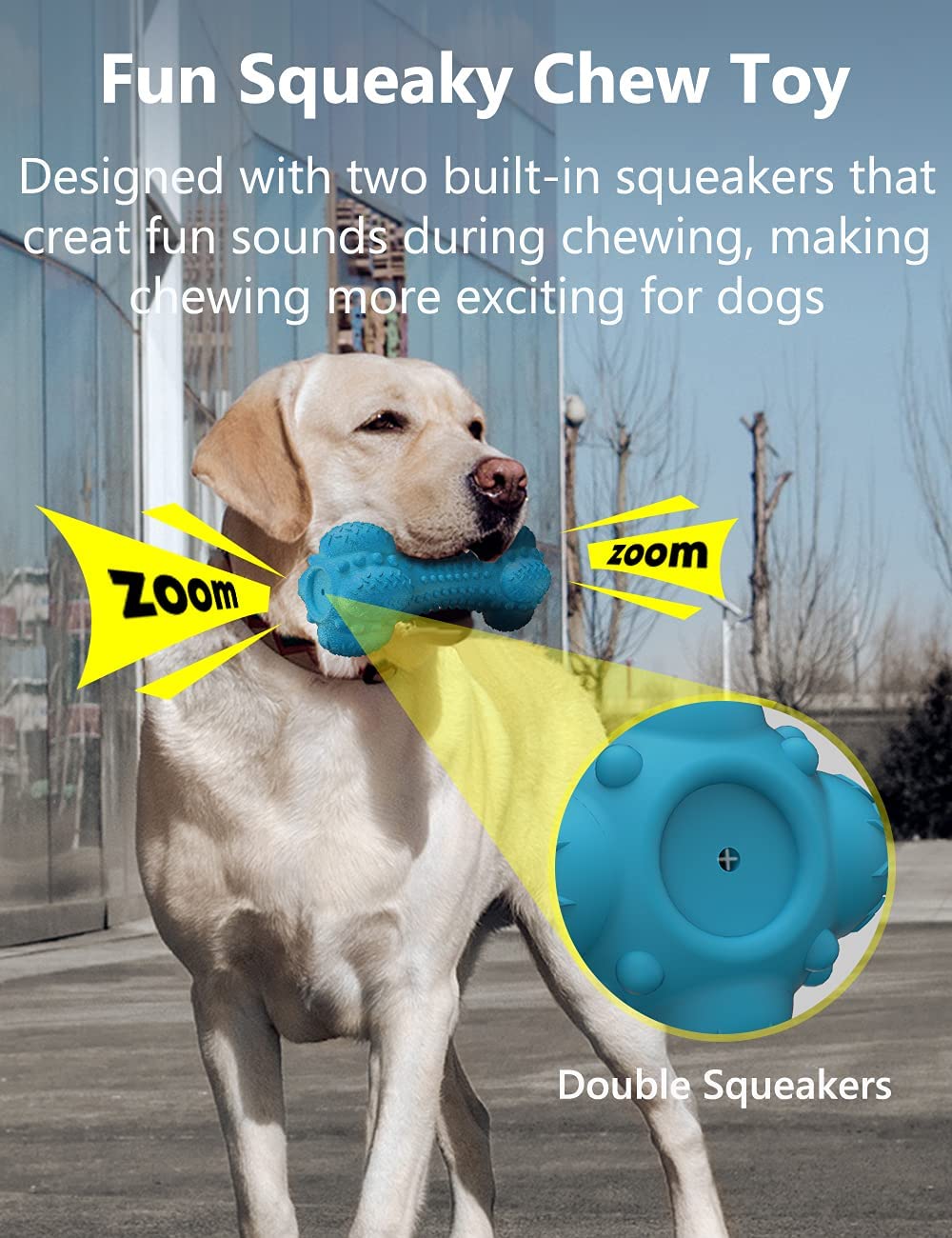 Squeaky Rubber Dog Chewy Toys