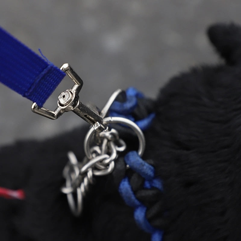 Built In Water Bottle Dog Leash