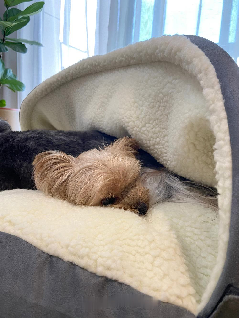 Luxury Lamb Wool Pet Bed