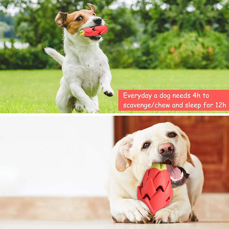 Indestructible Pitaya Dog Chew Toy