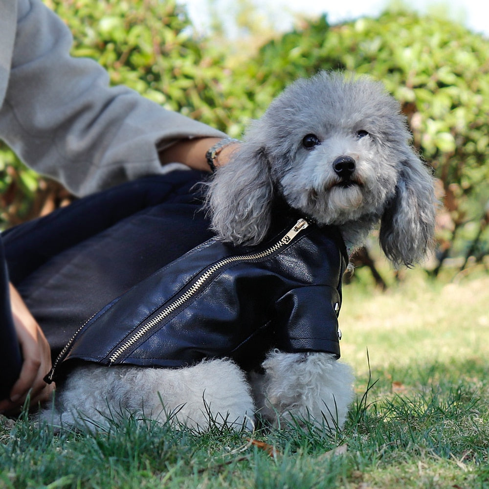 Cool Leather Dog Warm Jacket