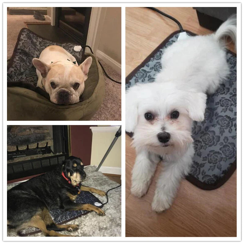 Waterproof Bite-resistant Wire Pet Heating Pad