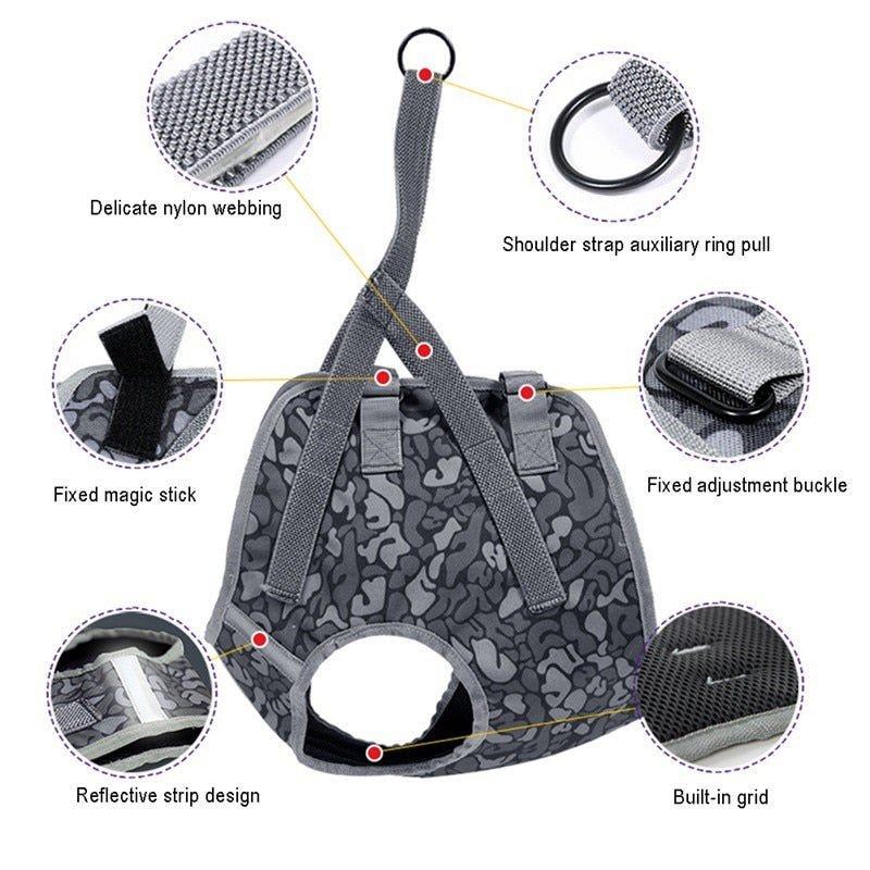 High Quality Explosion-Proof Pet Harness