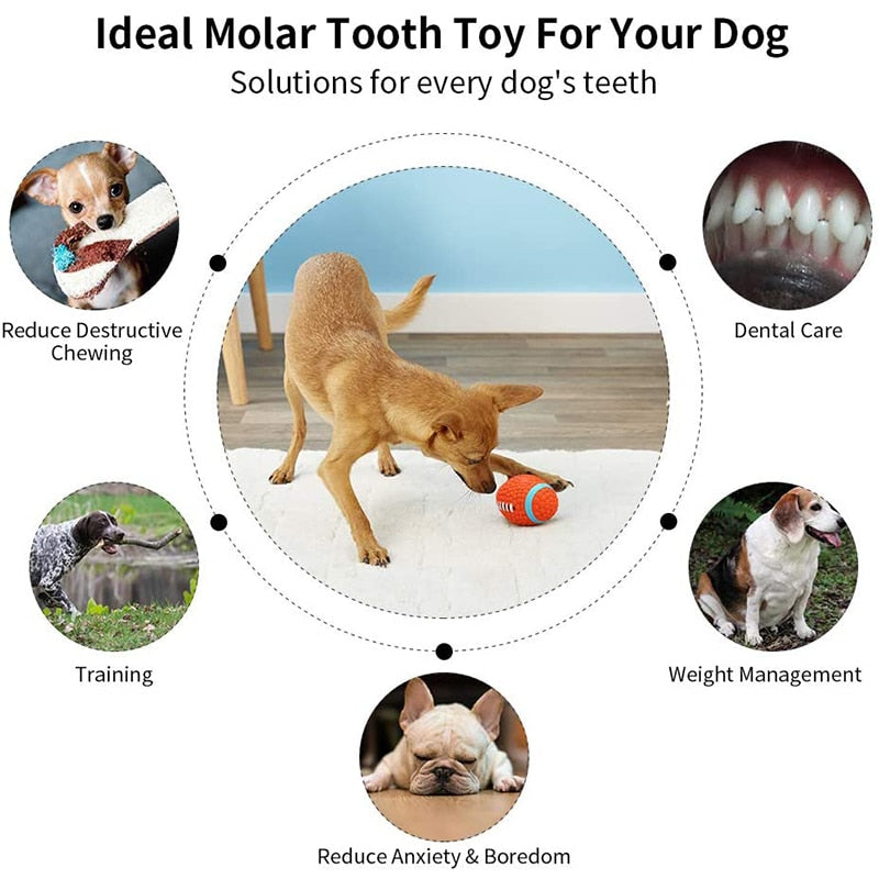Bouncy Football Squeaker Dog Toy