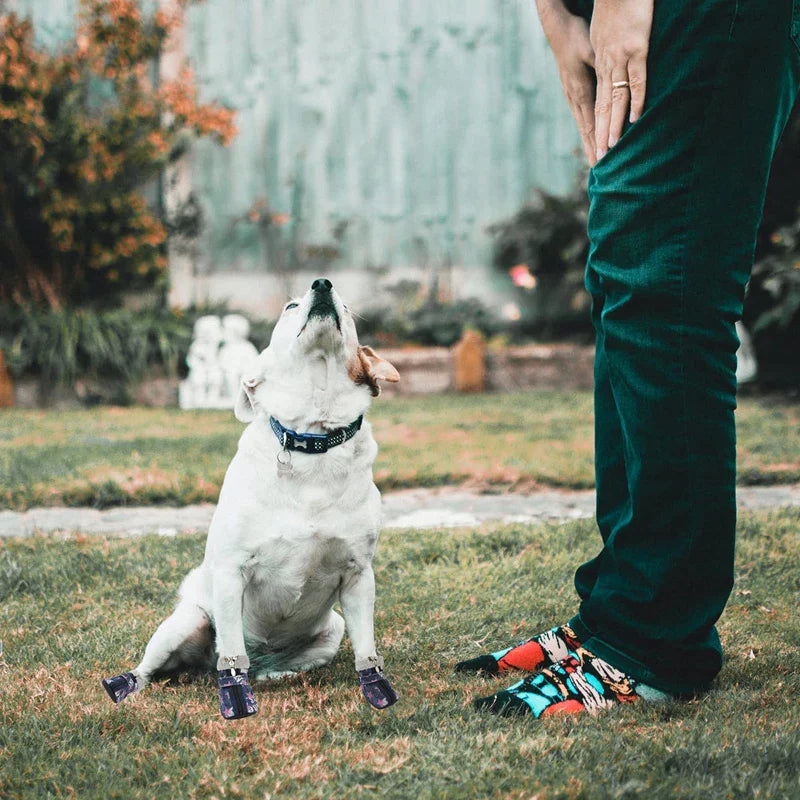 Winter Comfortable Warm Dog Shoes