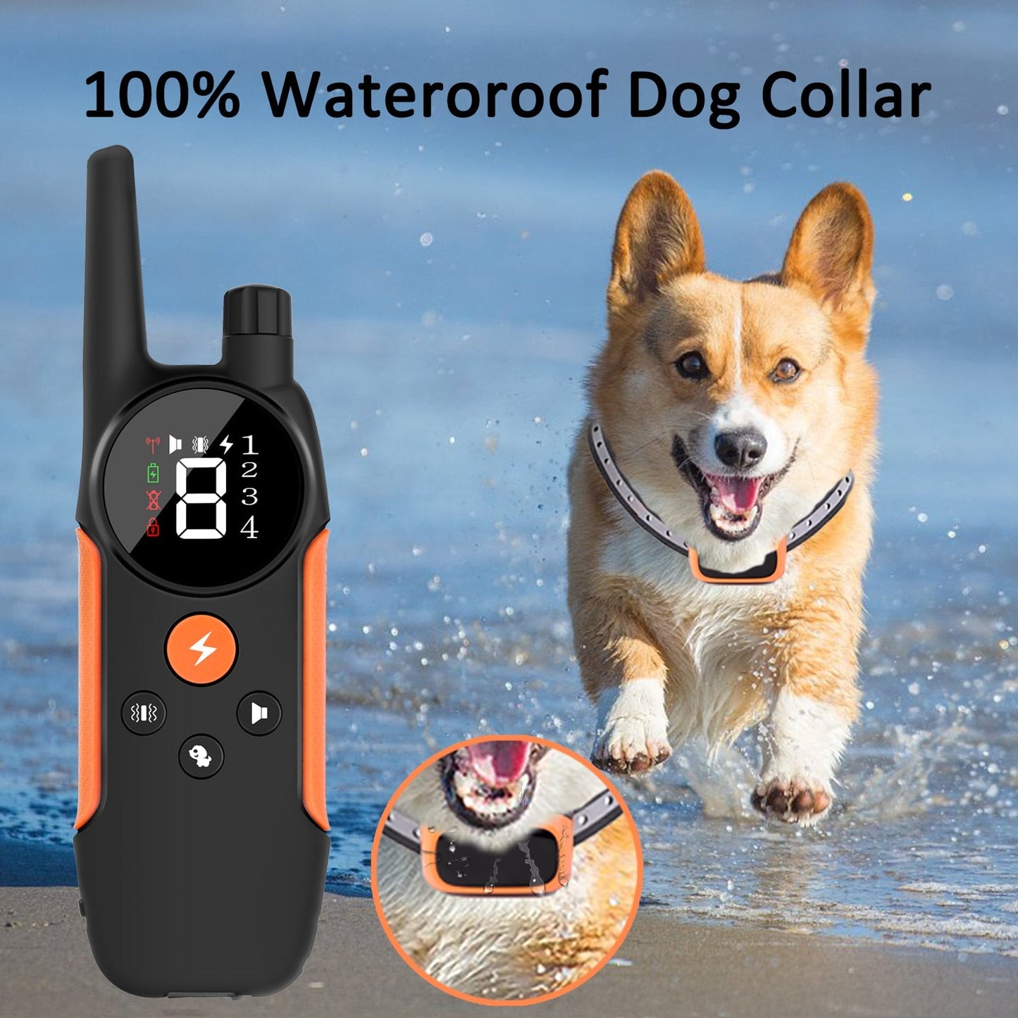LCD Display Dog Training Collar