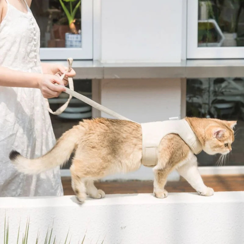 Mesh Canvas Cat Harness & Leash