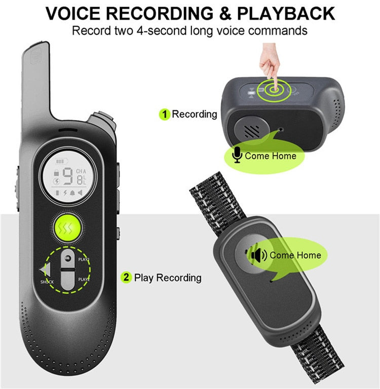 500m Dog Voice Recording Training Collar