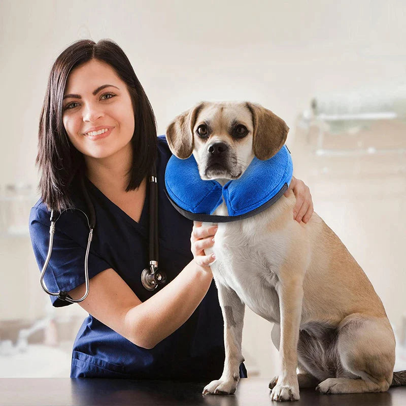 Inflatable Soft Dog Head Protecter