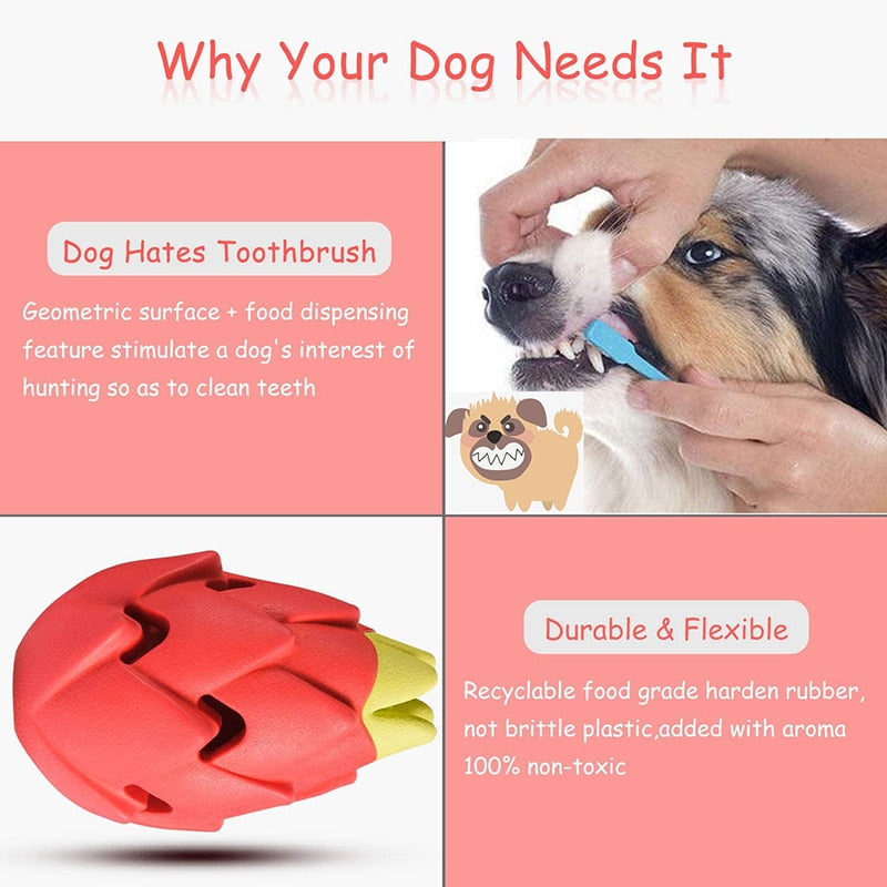 Indestructible Pitaya Dog Chew Toy