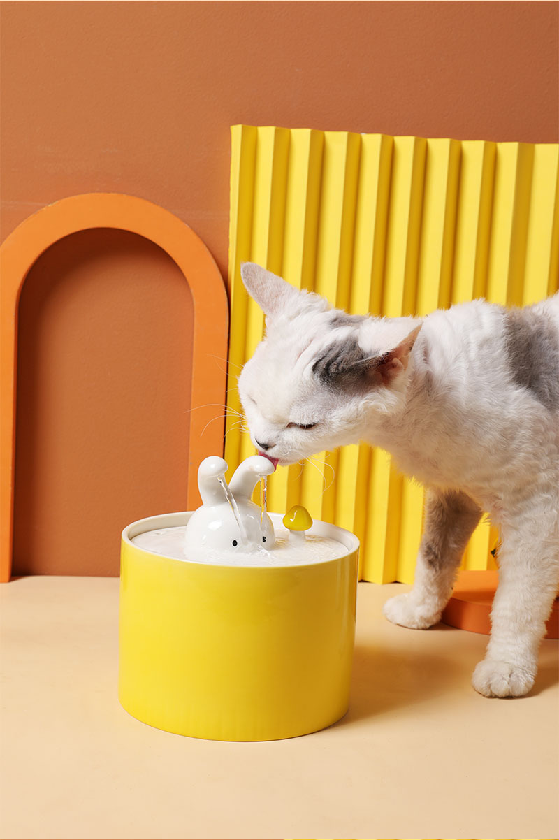 Creative Ceramic Pet Water Fountain