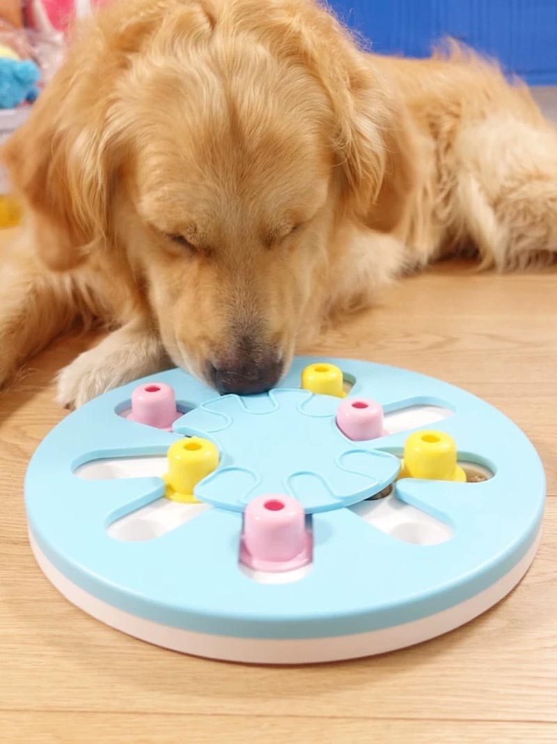 Dog IQ Fun Puzzle Toy Box