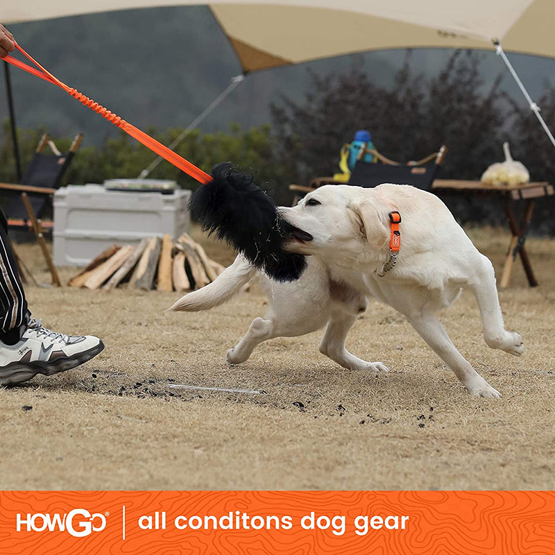 Interactive Bungee Dog Rope Toy