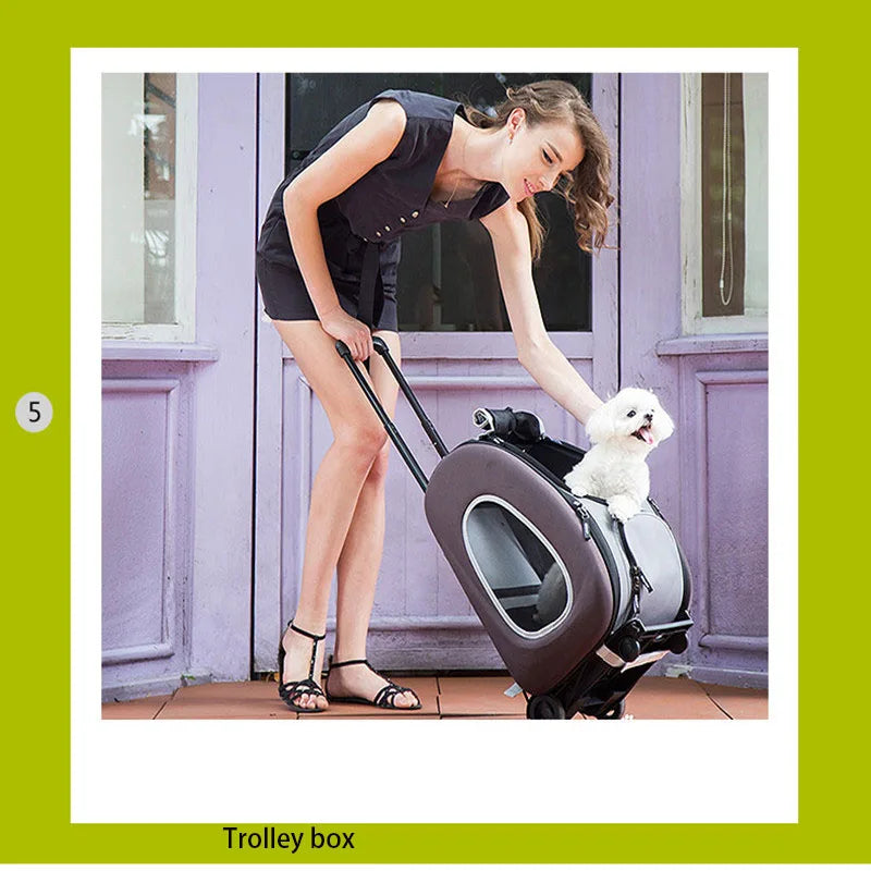 5 in 1 Outdoor Pet Stroller