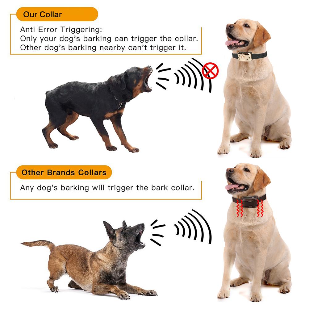 Auto Anti Bark Dog Collar
