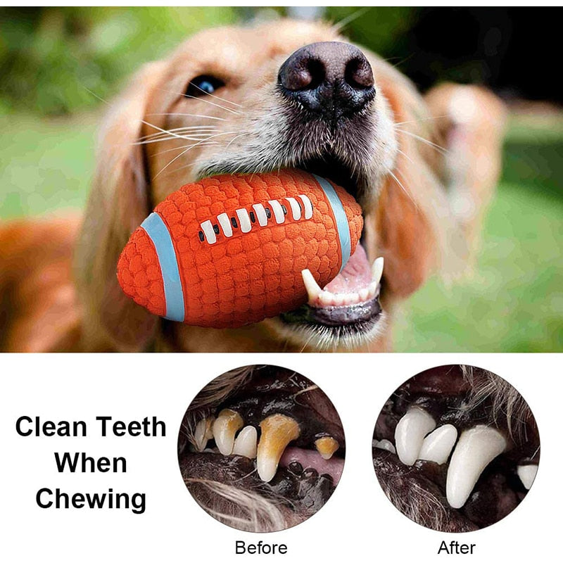 Bouncy Football Squeaker Dog Toy