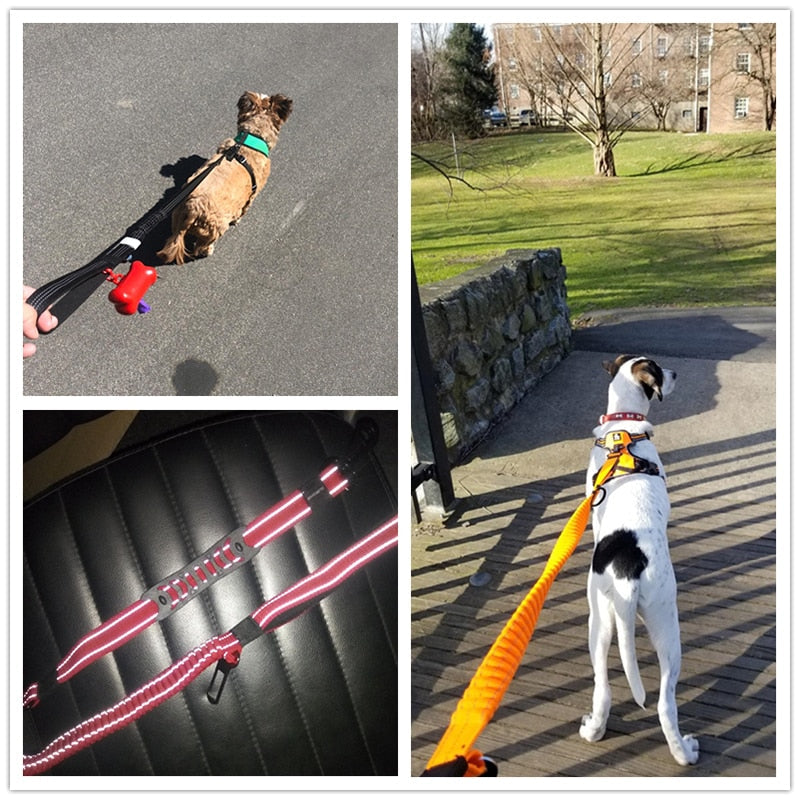 Multifunctional Heavy Duty Bungee Dog Leash