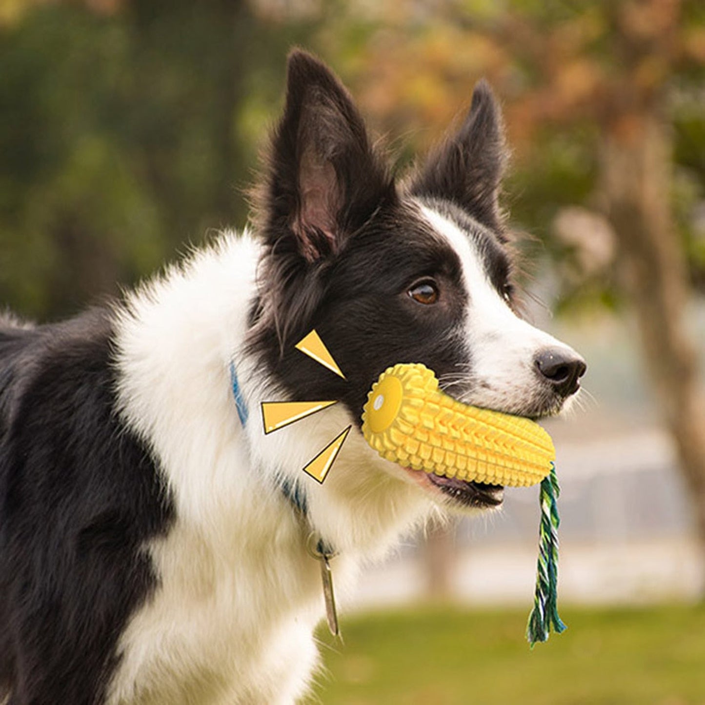 Indestructible Rubber Molar Stick Dog Toy