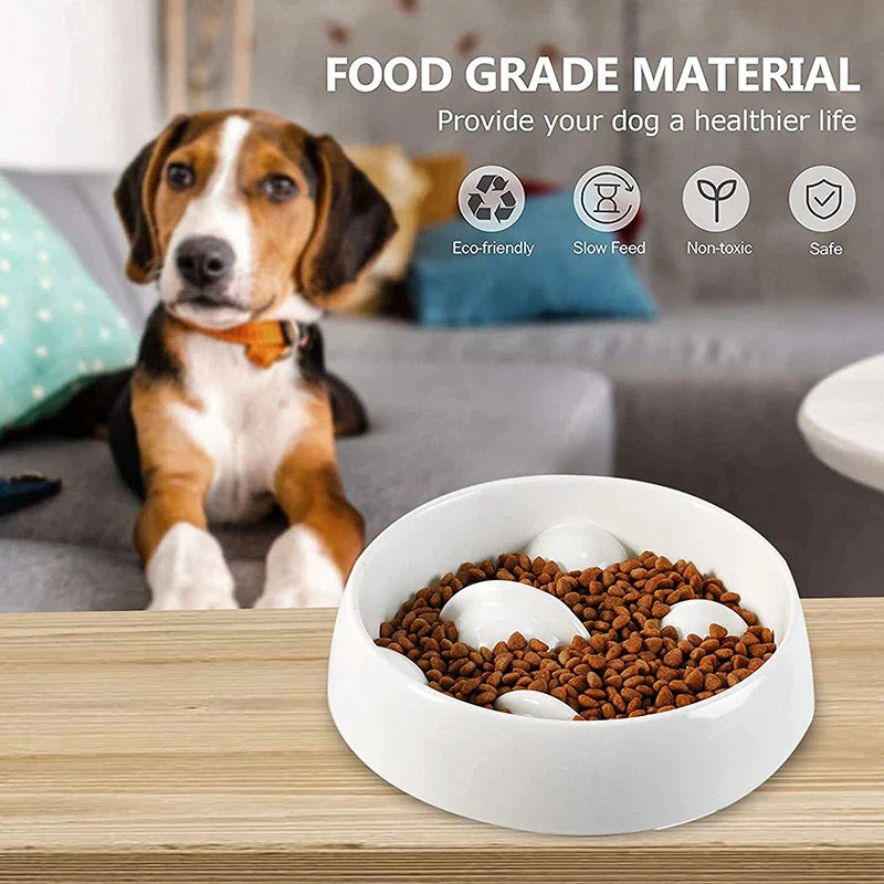 Slow Food Bowl Funny Dog Feeder