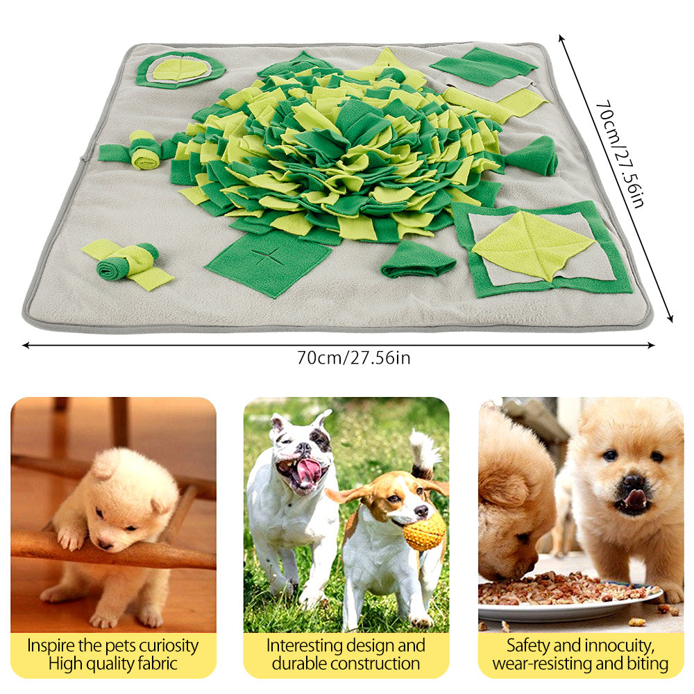 Dogs Fun Puzzle Snuffle Mats