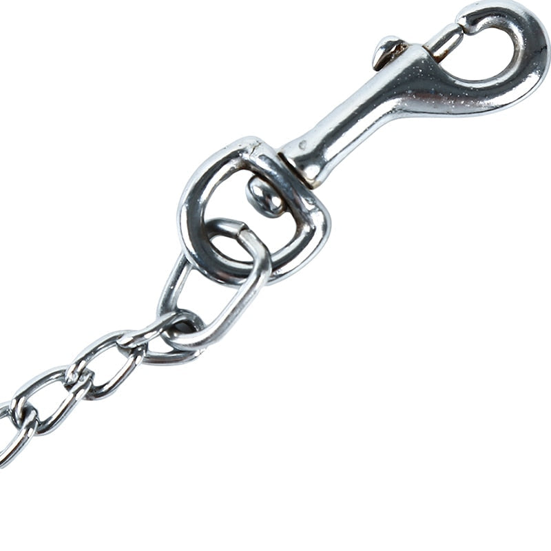 Bite Proof Heavy Duty Chain Dog Leash
