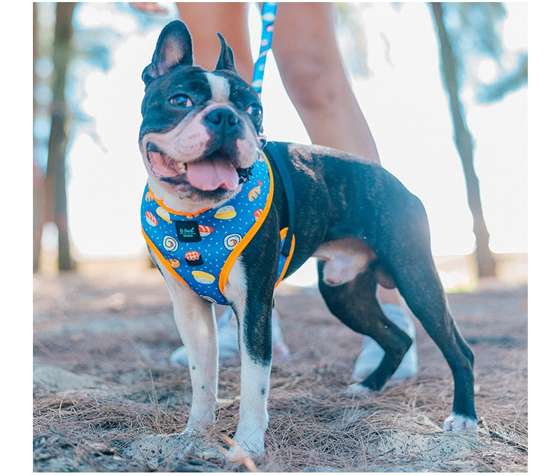 Fashion Dog Harness Vests