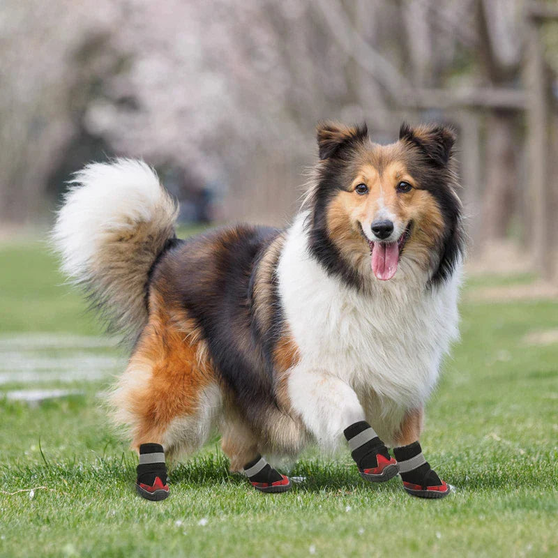 Honeycomb Mesh Dog Shoes