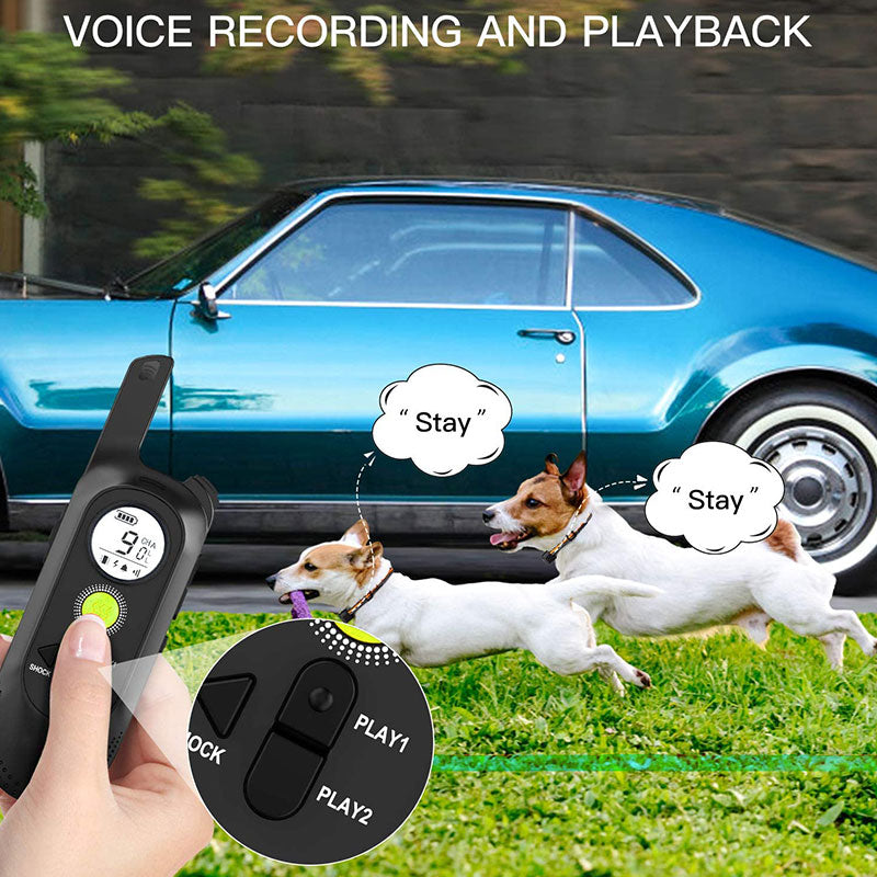 500m Dog Voice Recording Training Collar